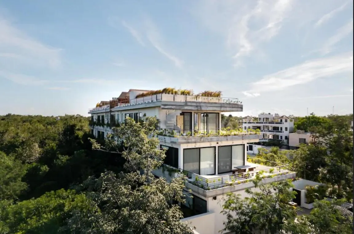 Daire Tulum La Veleta Condo Best Sunrises & Jungle View Near Holistika Meksika